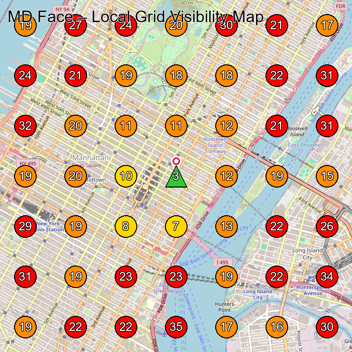 MD Face GeoGrid visibility map for Plastic Surgery Clinic in New York
